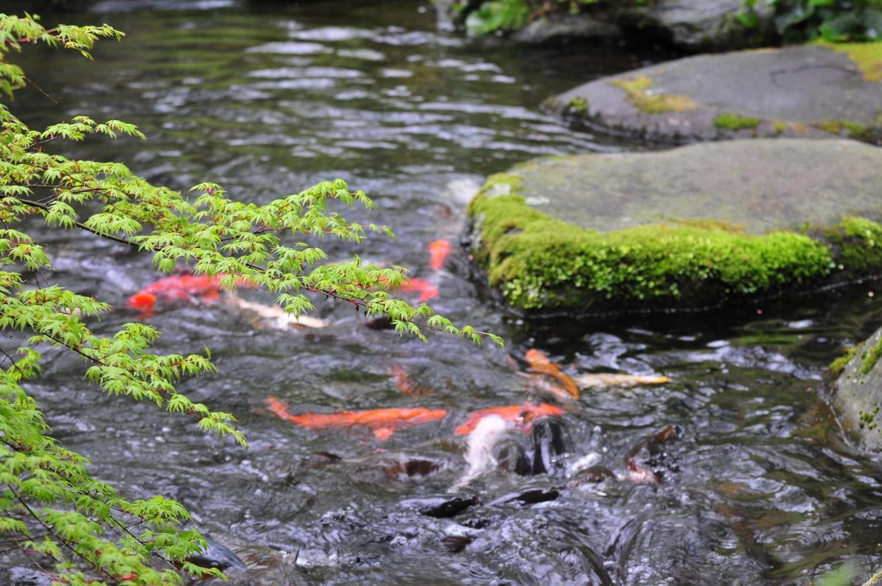 Yoshiike Ryokan Hakone Kültér fotó